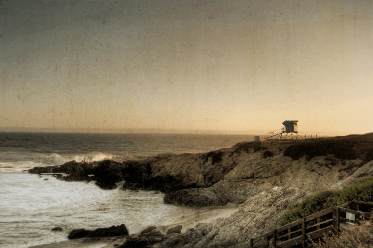 Lifeguard (2000px, 30fps) (1)